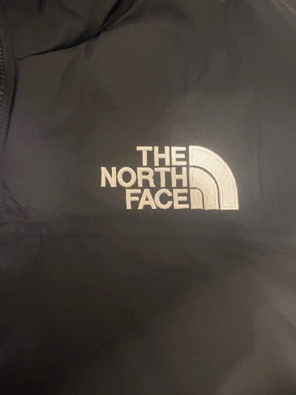 NWT The North Face 1996 Retro Nuptse 700 Down Jacket Black Men's Hoodie